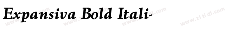 Expansiva Bold Itali字体转换 Expansiva Bold Itali字体转换